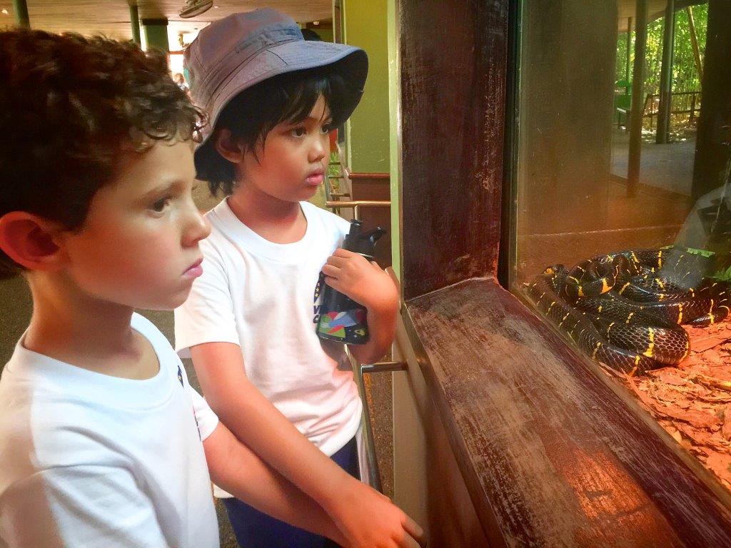 Village Camps International Summer Camp VDC Singapore 2017-07-28 https://www.villagecamps.com/journals_admin/images/1237-7534-FullSizeRender (2).jpg